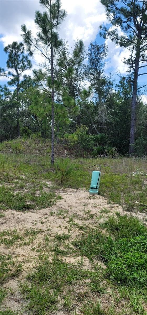 Land at 10339 N G MARTINELLI BLVD, CITRUS SPRINGS, photo 11 of 14