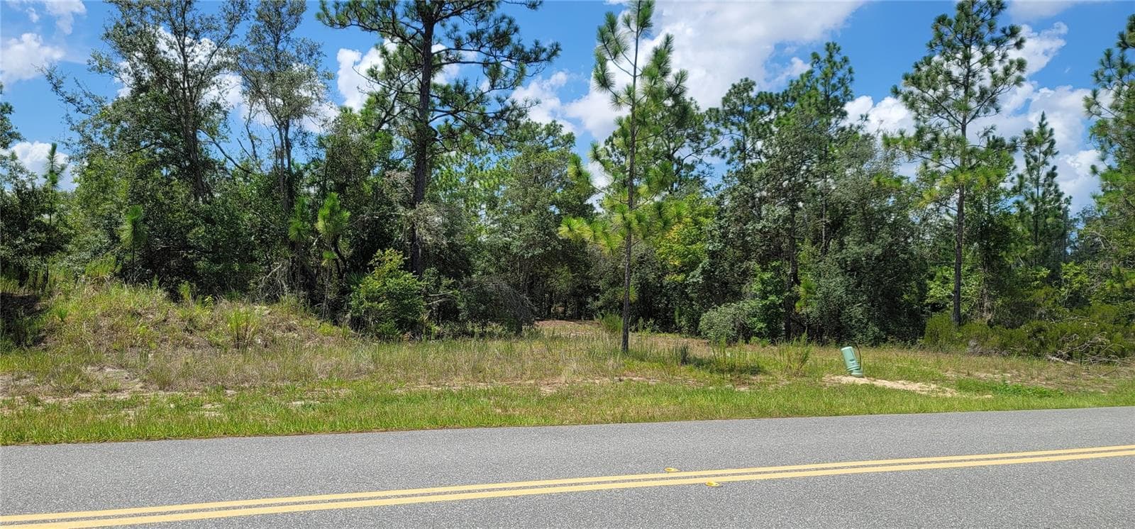 Land at 10339 N G MARTINELLI BLVD, CITRUS SPRINGS, photo 12 of 14