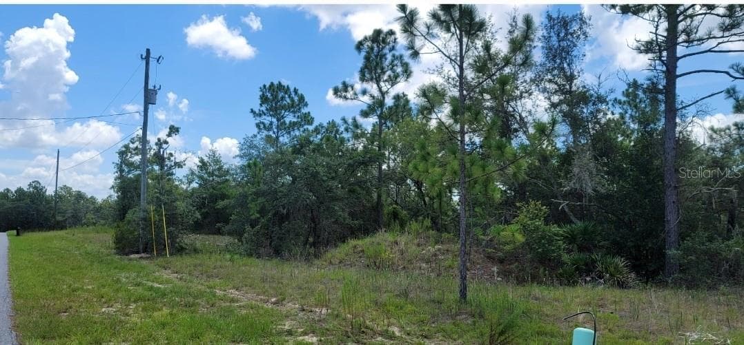 Land at 10339 N G MARTINELLI BLVD, CITRUS SPRINGS, photo 14 of 14