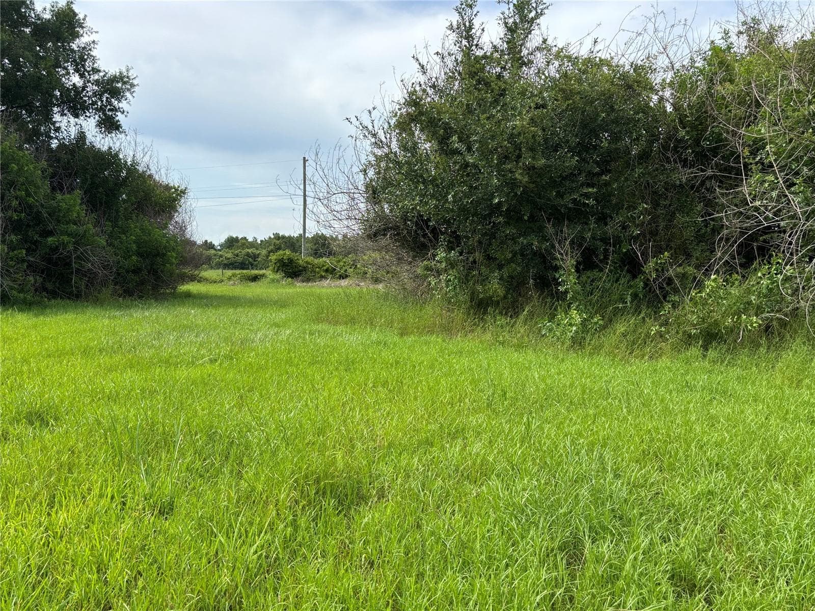 Single Family Residence at 4670 ANDERSON RD, KISSIMMEE, photo 50 of 56