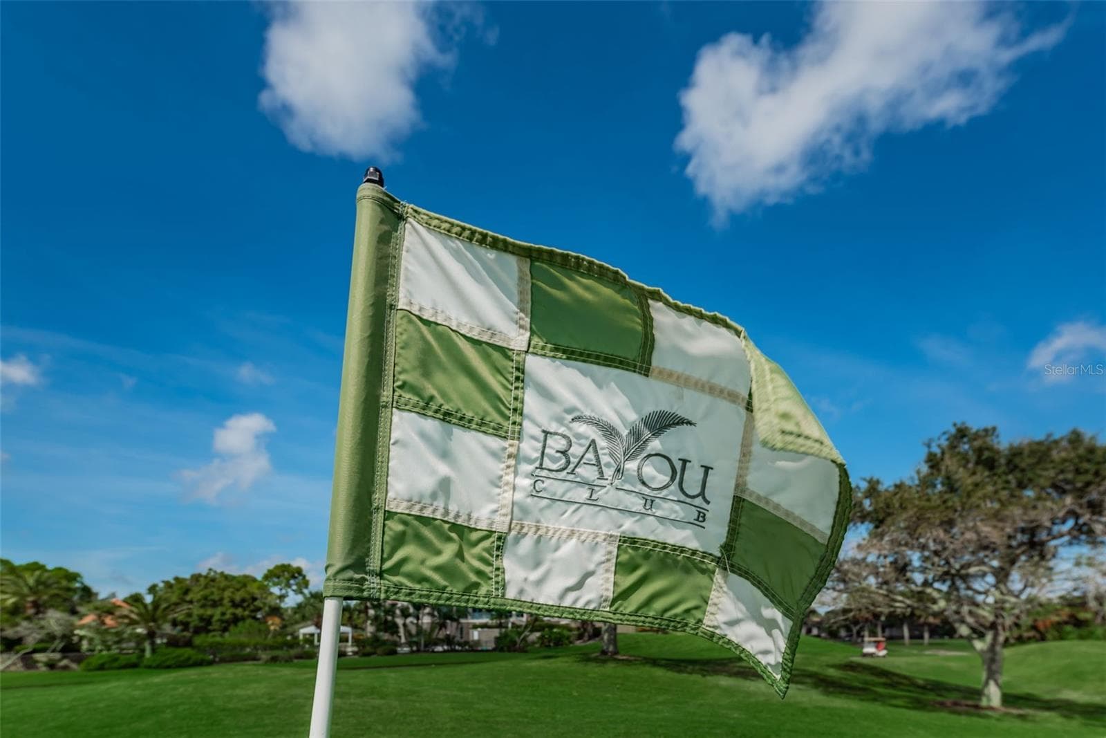 Incredible course to play! - 10479 LONGWOOD DR, SEMINOLE