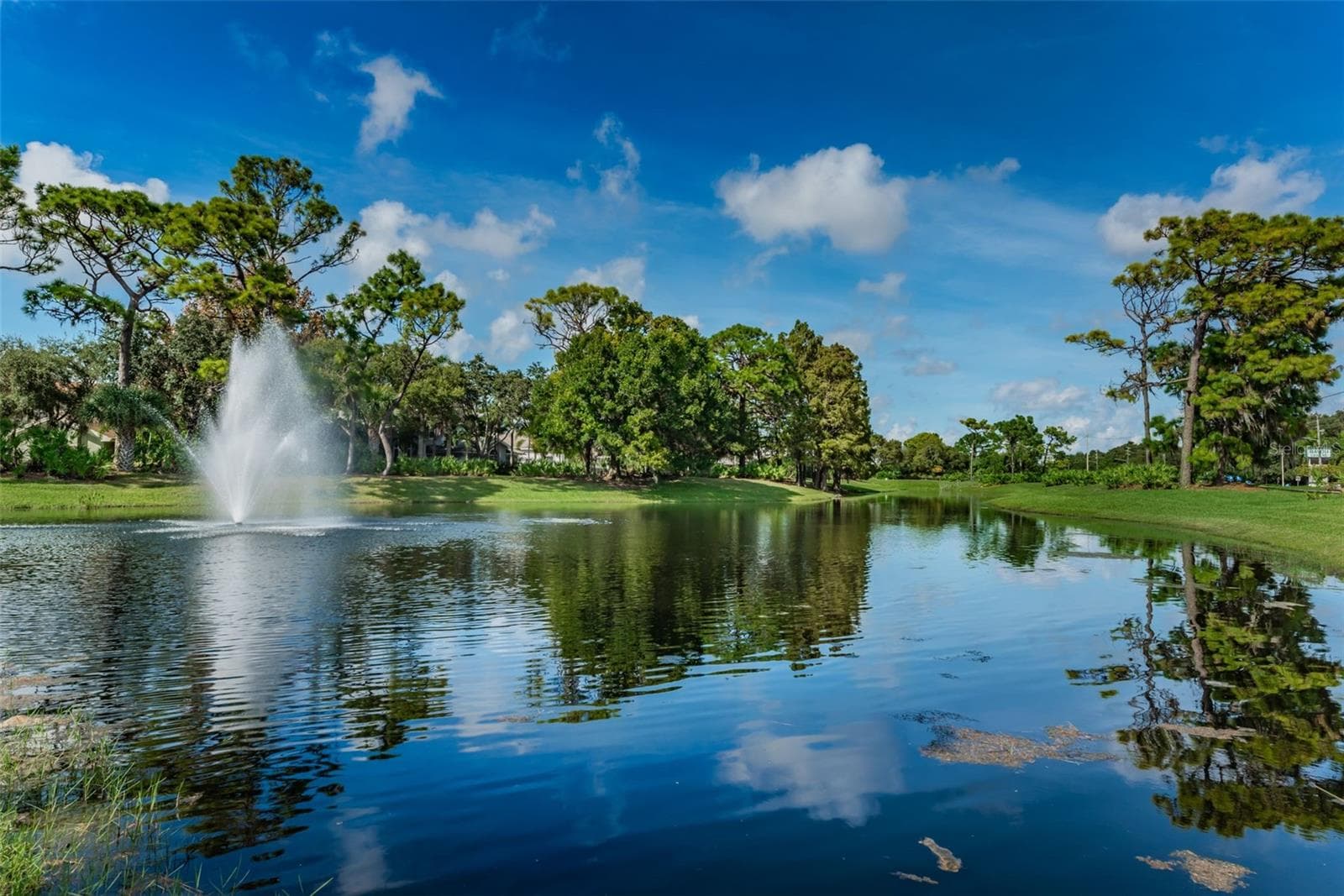 Bayou Club Lake - 10479 LONGWOOD DR, SEMINOLE