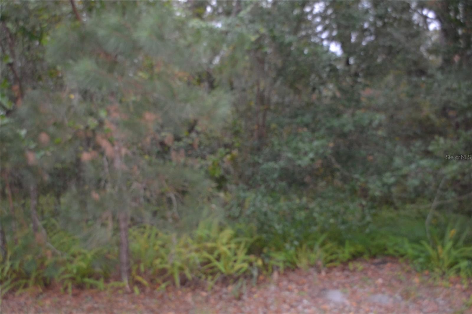 Land at 0 LINCOLN STREET, SANFORD, photo 2 of 4