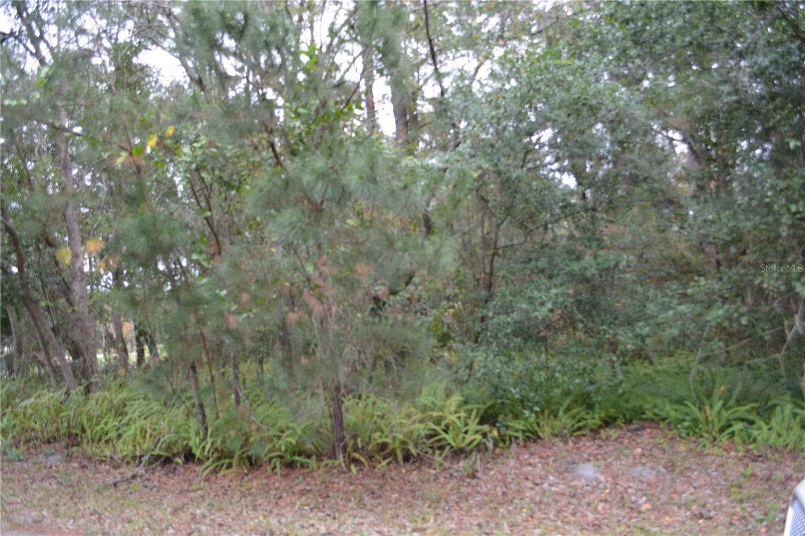 Land at 0 LINCOLN STREET, SANFORD, photo 3 of 4