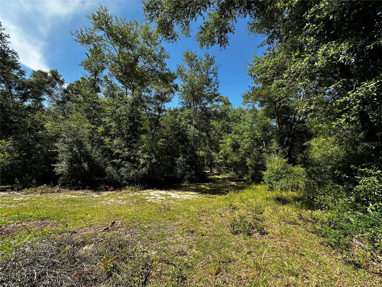Land at TBD NE 81ST ST, BRONSON, photo 4 of 23