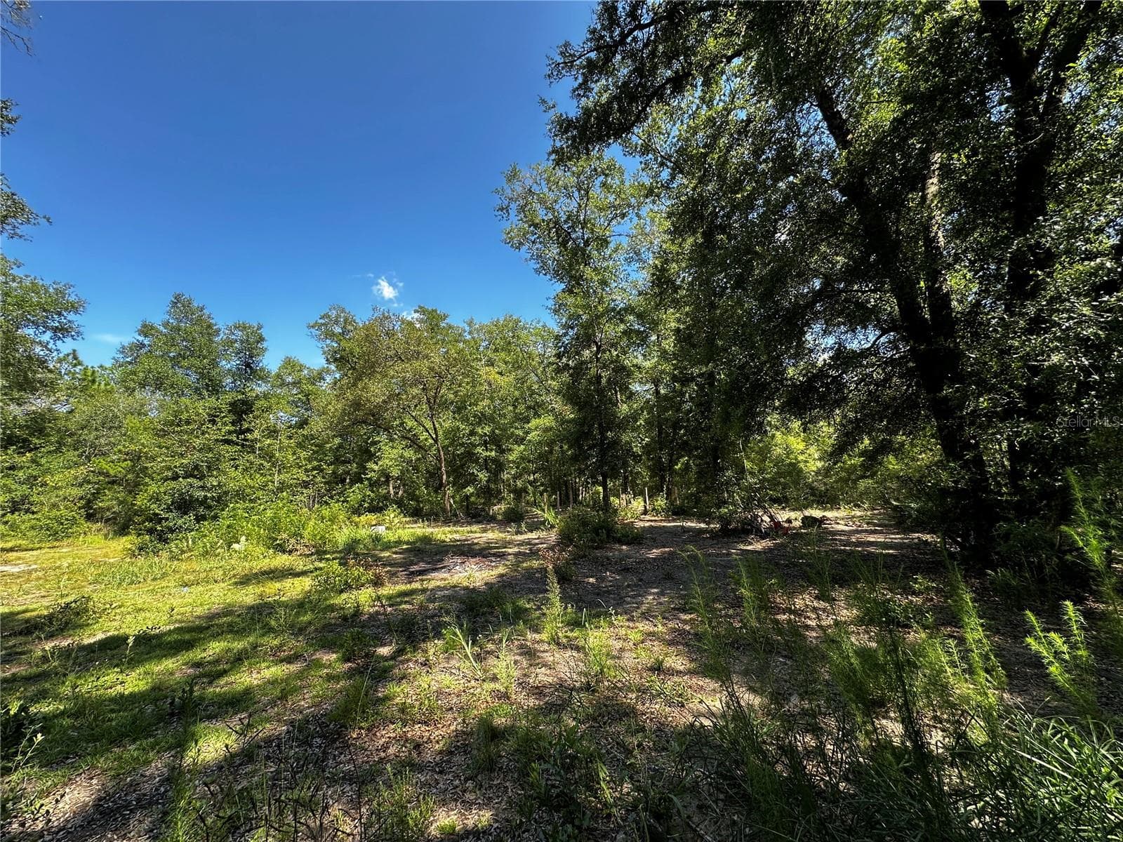 Land at TBD NE 81ST ST, BRONSON, photo 9 of 23
