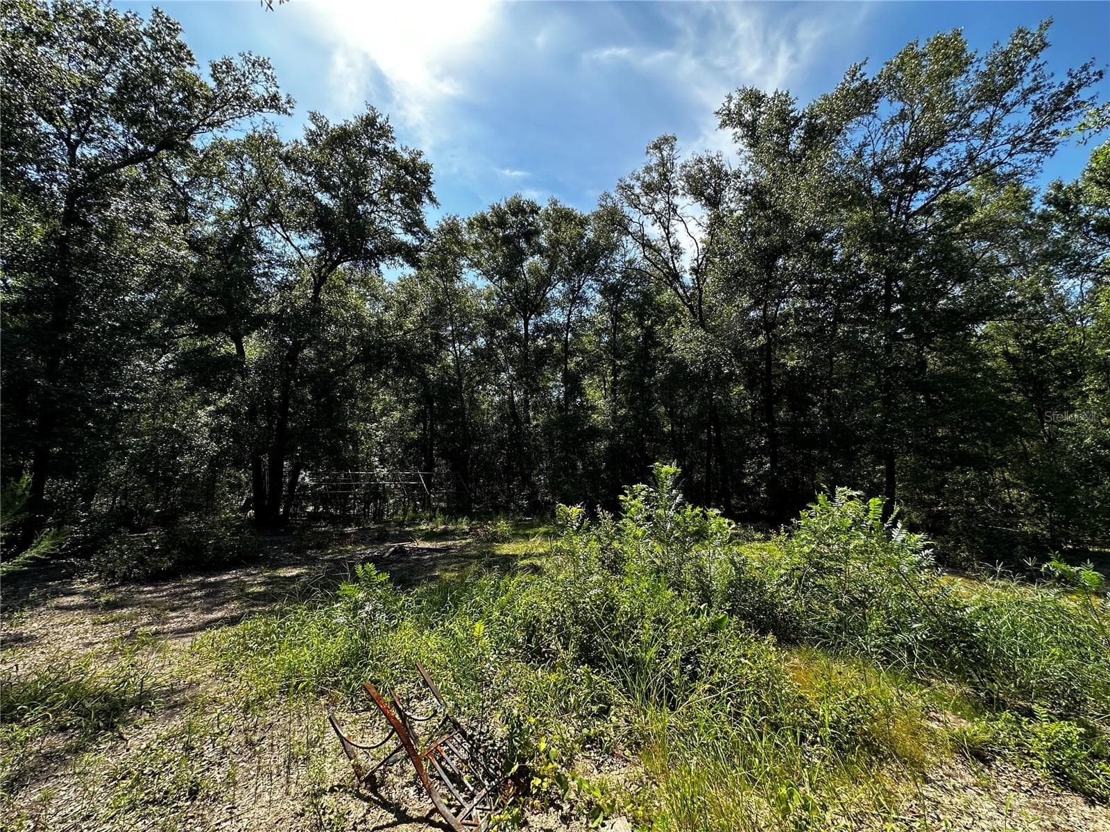 Land at TBD NE 81ST ST, BRONSON, photo 15 of 23
