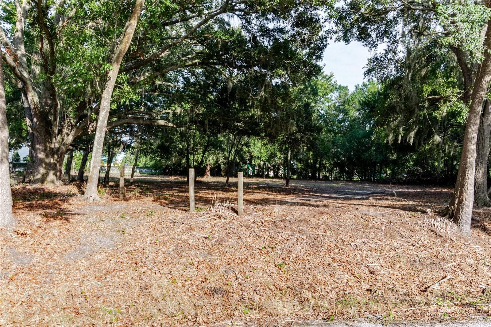 Land at 17380 RIVERSTONE DR, LUTZ, photo 39 of 72