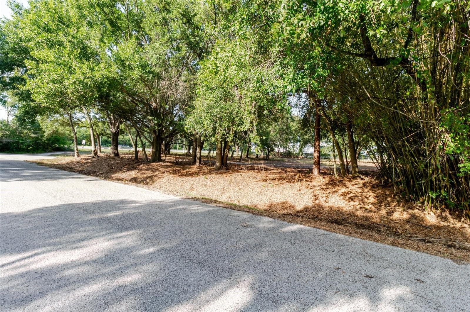Land at 17380 RIVERSTONE DR, LUTZ, photo 40 of 72