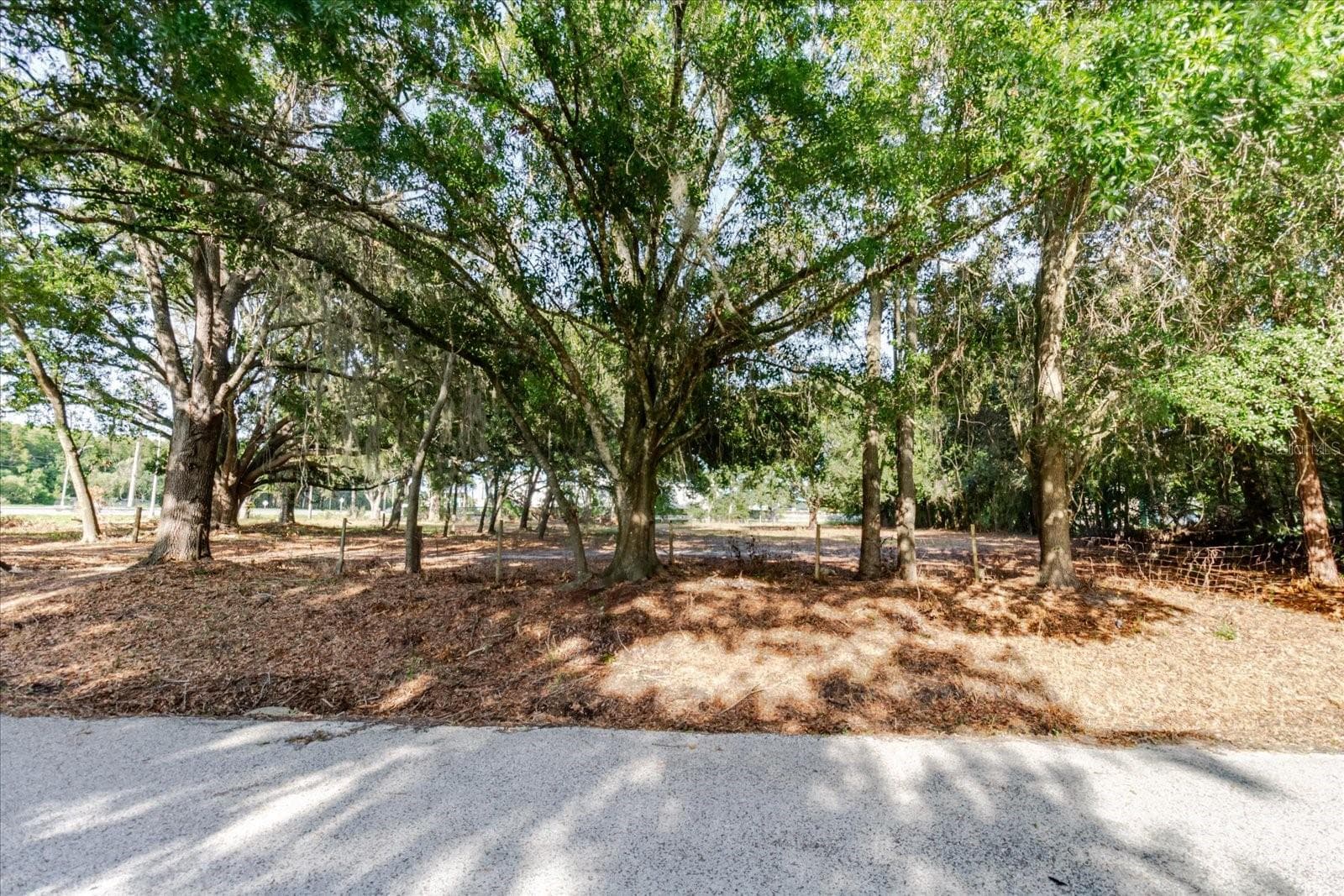 Land at 17380 RIVERSTONE DR, LUTZ, photo 41 of 72