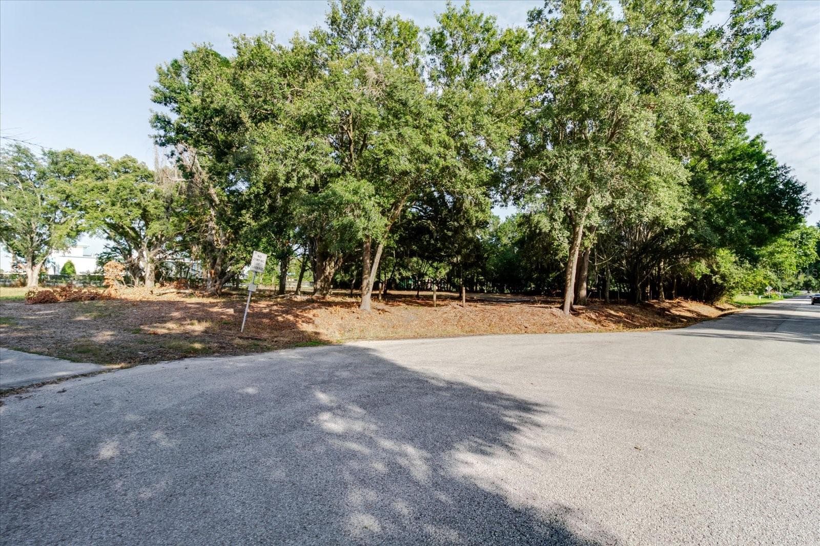 Land at 17380 RIVERSTONE DR, LUTZ, photo 42 of 72