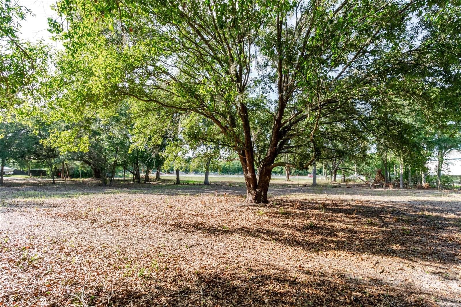 Land at 17380 RIVERSTONE DR, LUTZ, photo 43 of 72