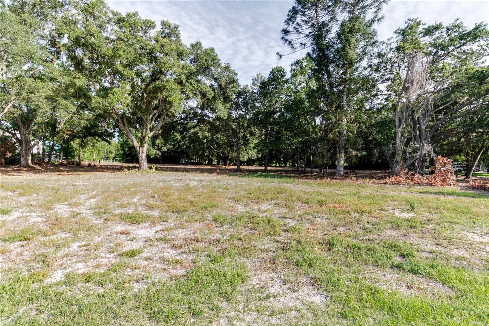 Land at 17380 RIVERSTONE DR, LUTZ, photo 44 of 72