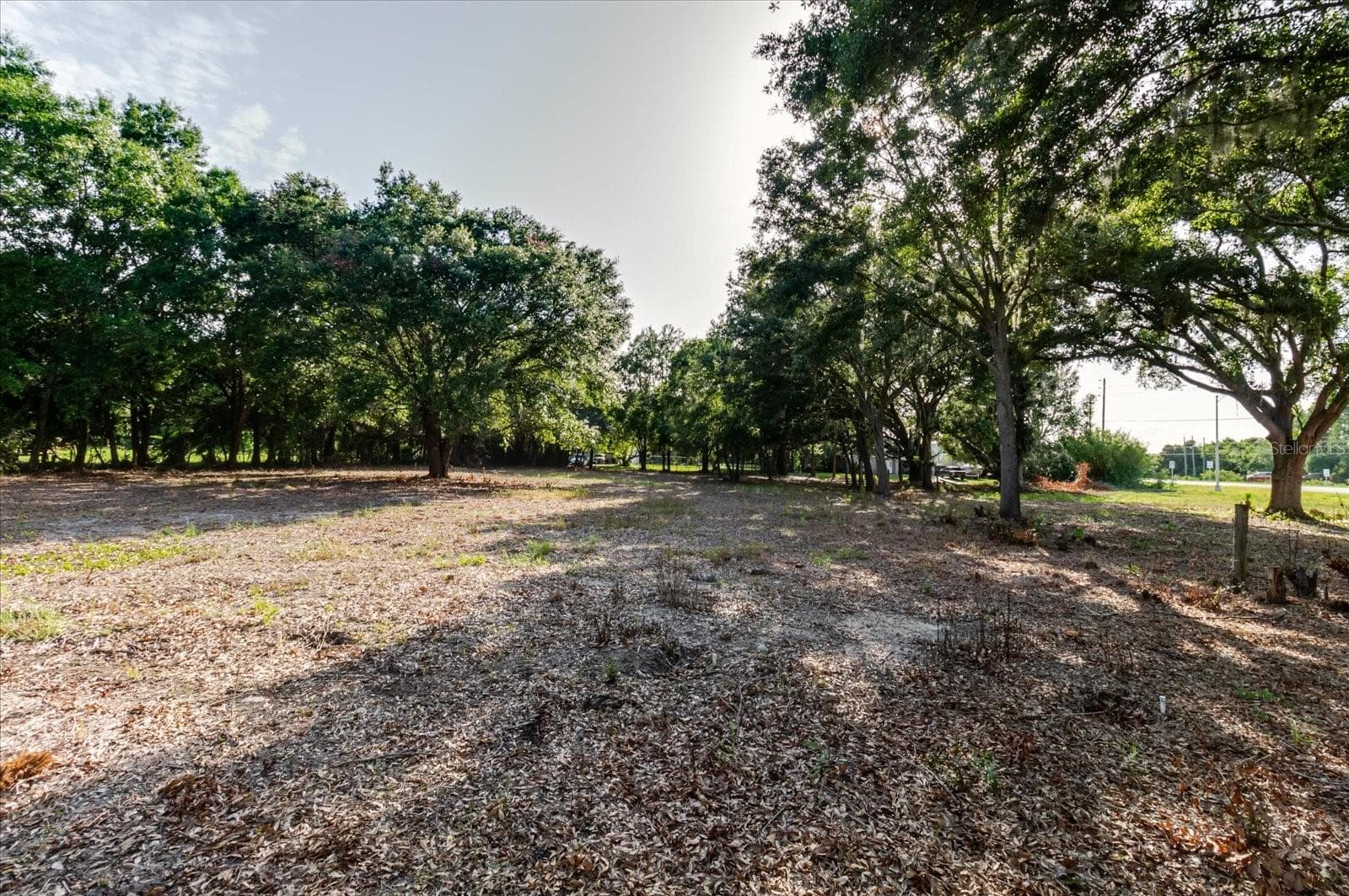 Land at 17380 RIVERSTONE DR, LUTZ, photo 45 of 72
