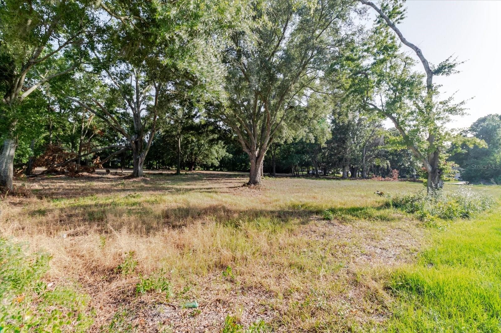 Land at 17380 RIVERSTONE DR, LUTZ, photo 46 of 72