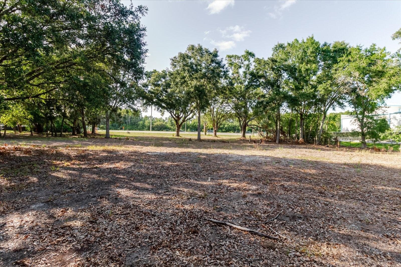 Land at 17380 RIVERSTONE DR, LUTZ, photo 47 of 72
