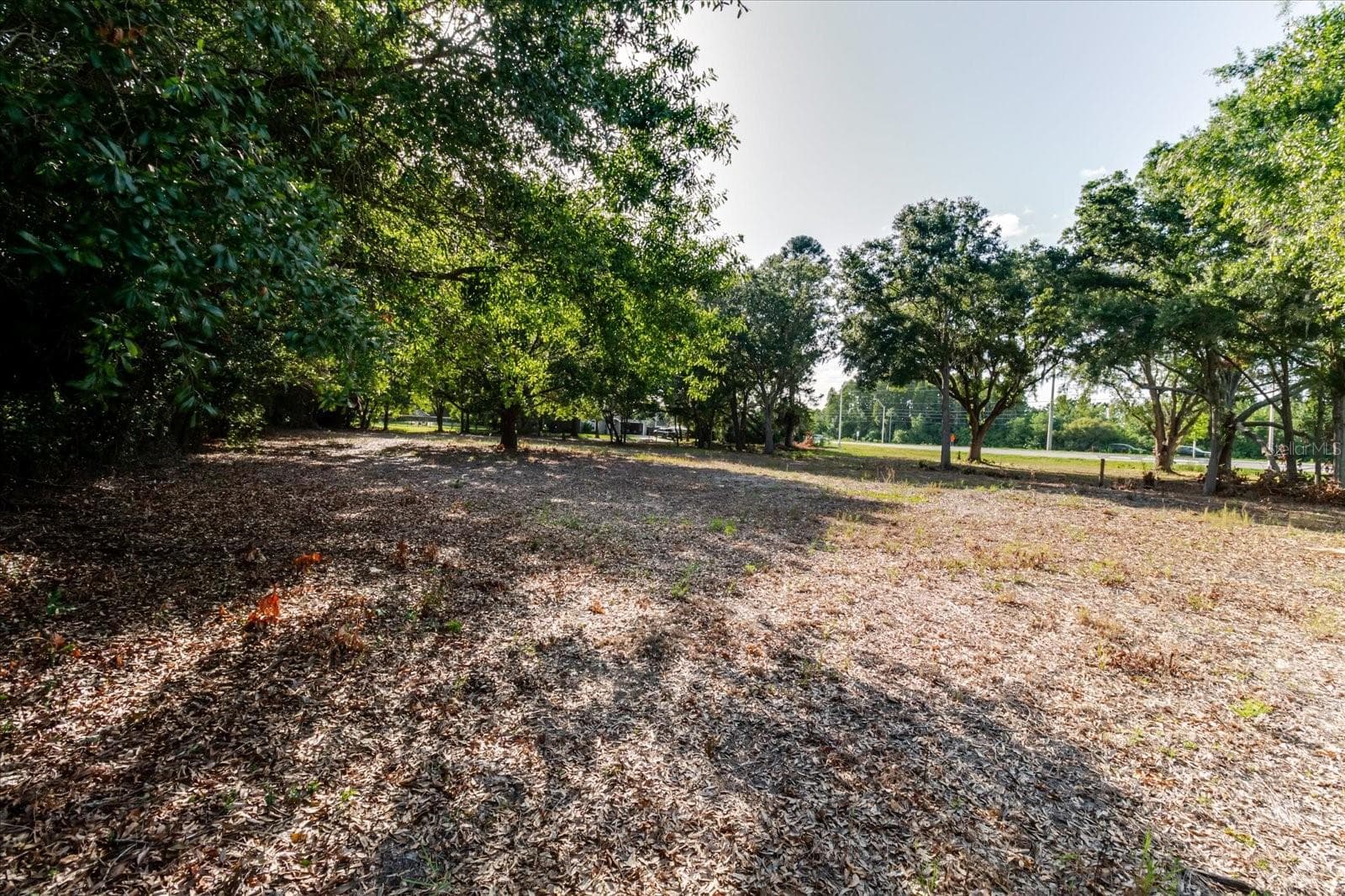 Land at 17380 RIVERSTONE DR, LUTZ, photo 48 of 72