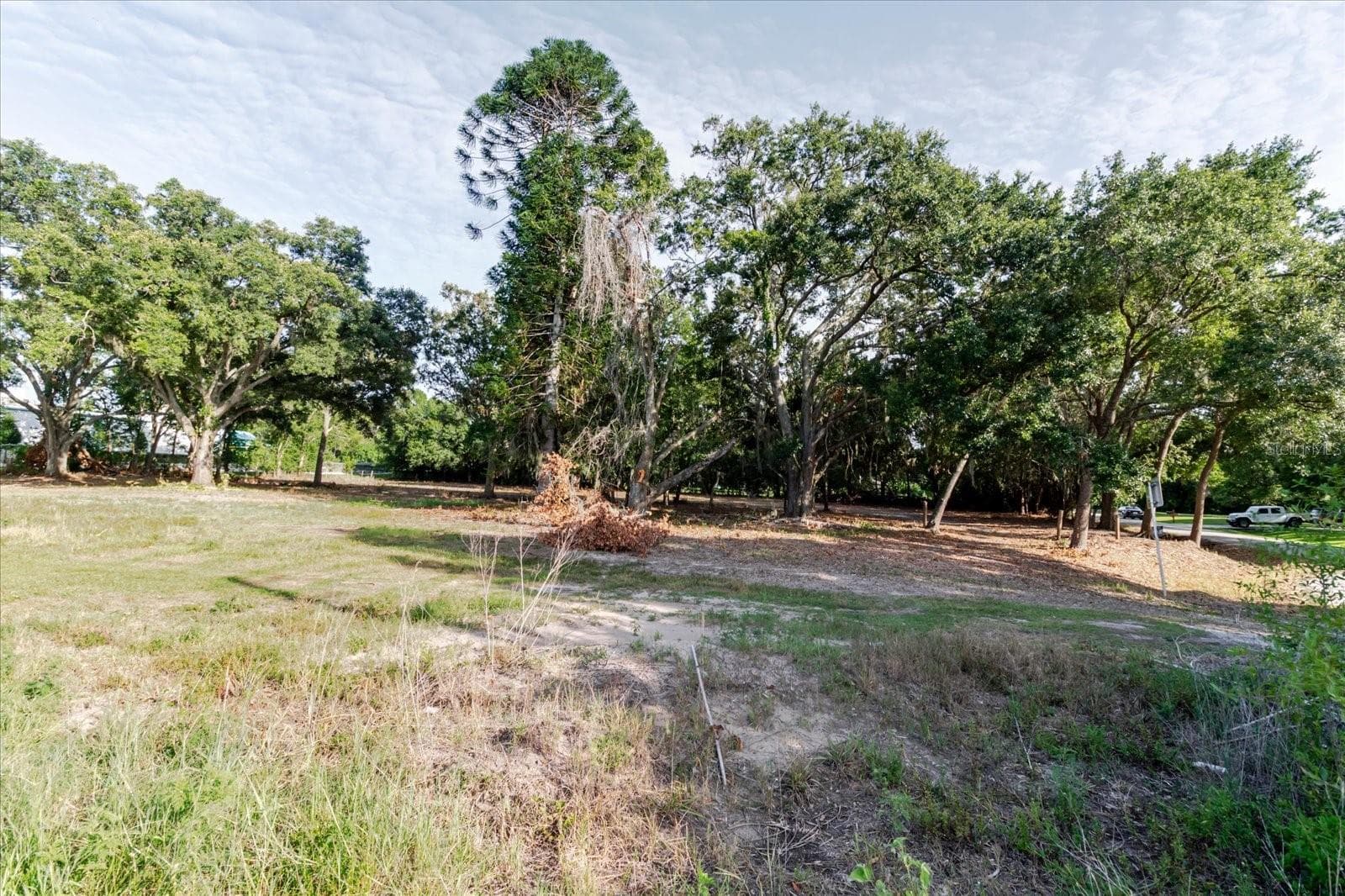 Land at 17380 RIVERSTONE DR, LUTZ, photo 50 of 72