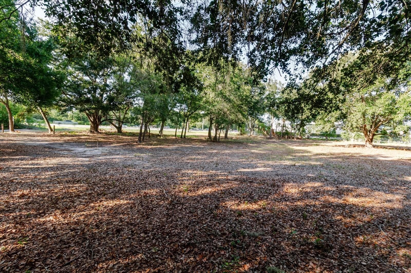 Land at 17380 RIVERSTONE DR, LUTZ, photo 51 of 72