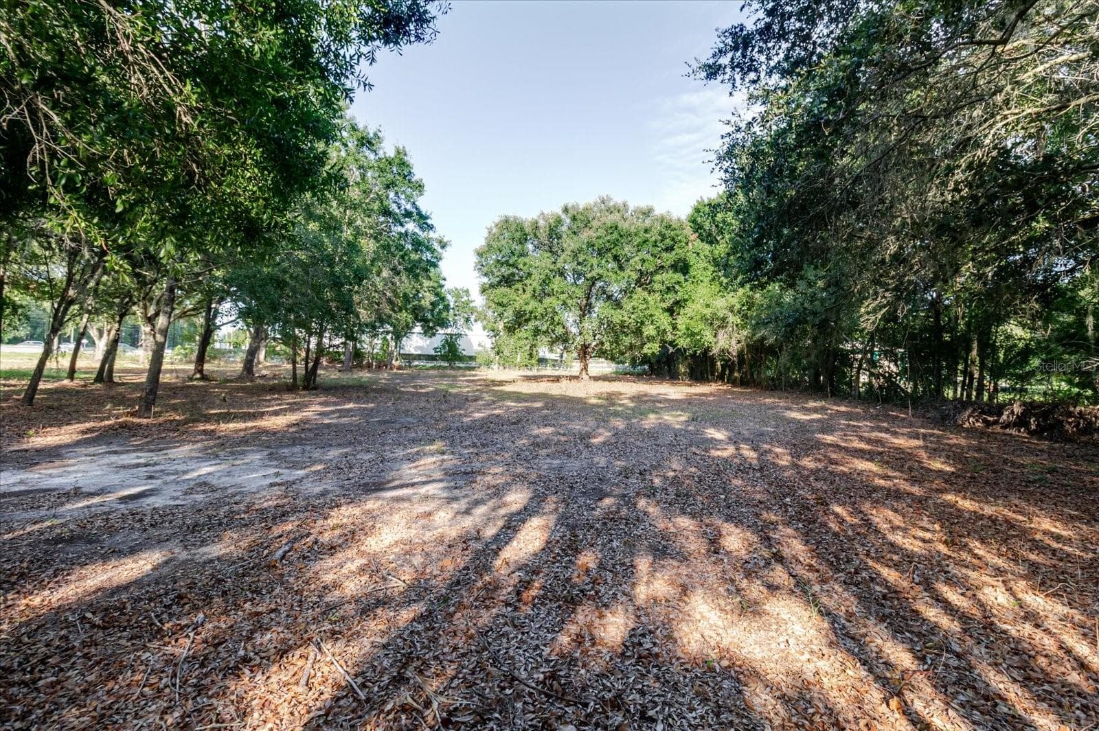 Land at 17380 RIVERSTONE DR, LUTZ, photo 52 of 72