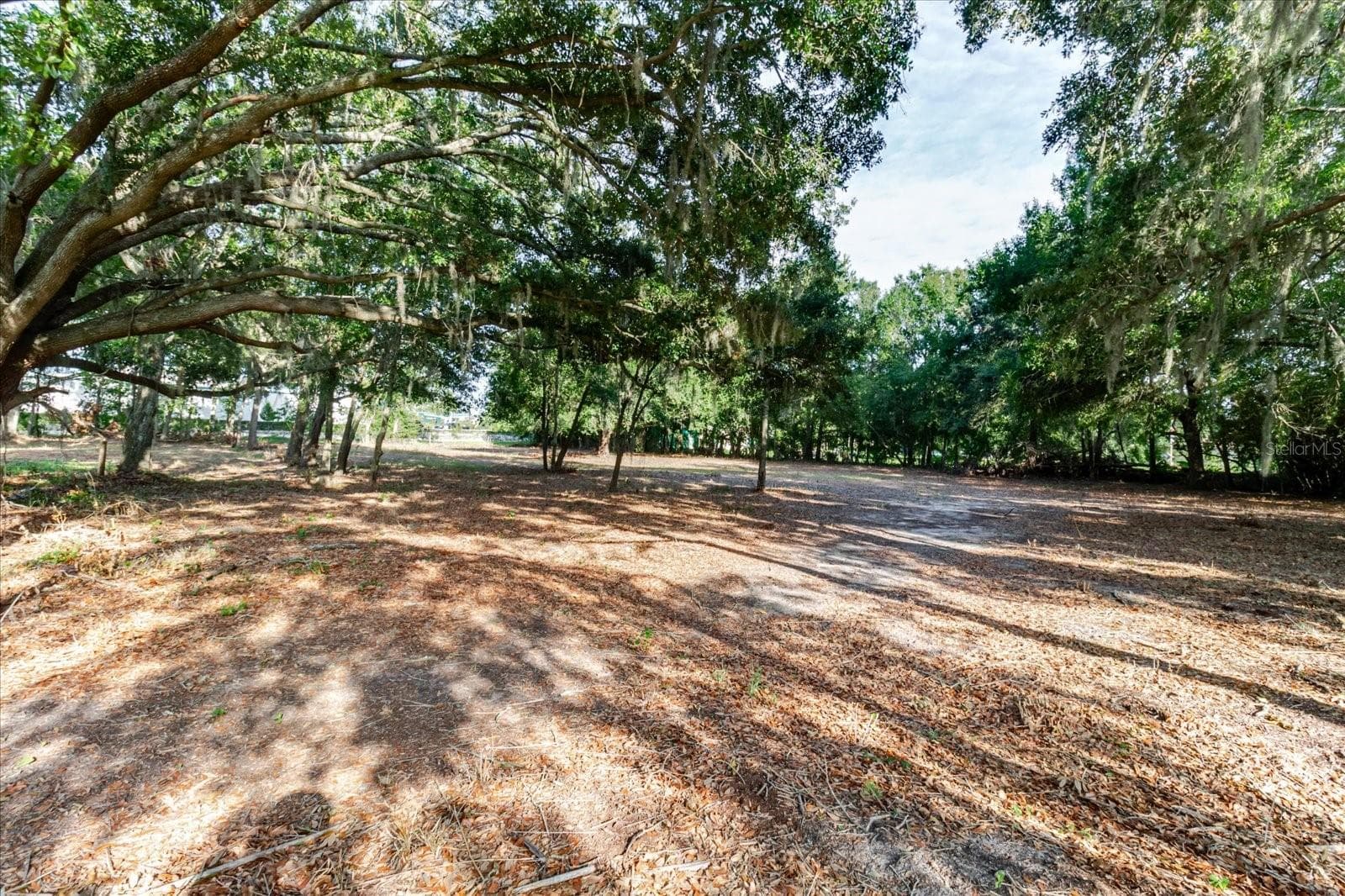 Land at 17380 RIVERSTONE DR, LUTZ, photo 53 of 72