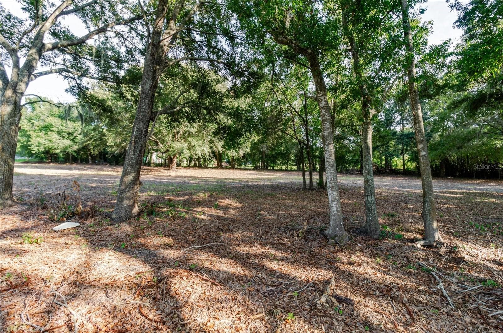 Land at 17380 RIVERSTONE DR, LUTZ, photo 54 of 72