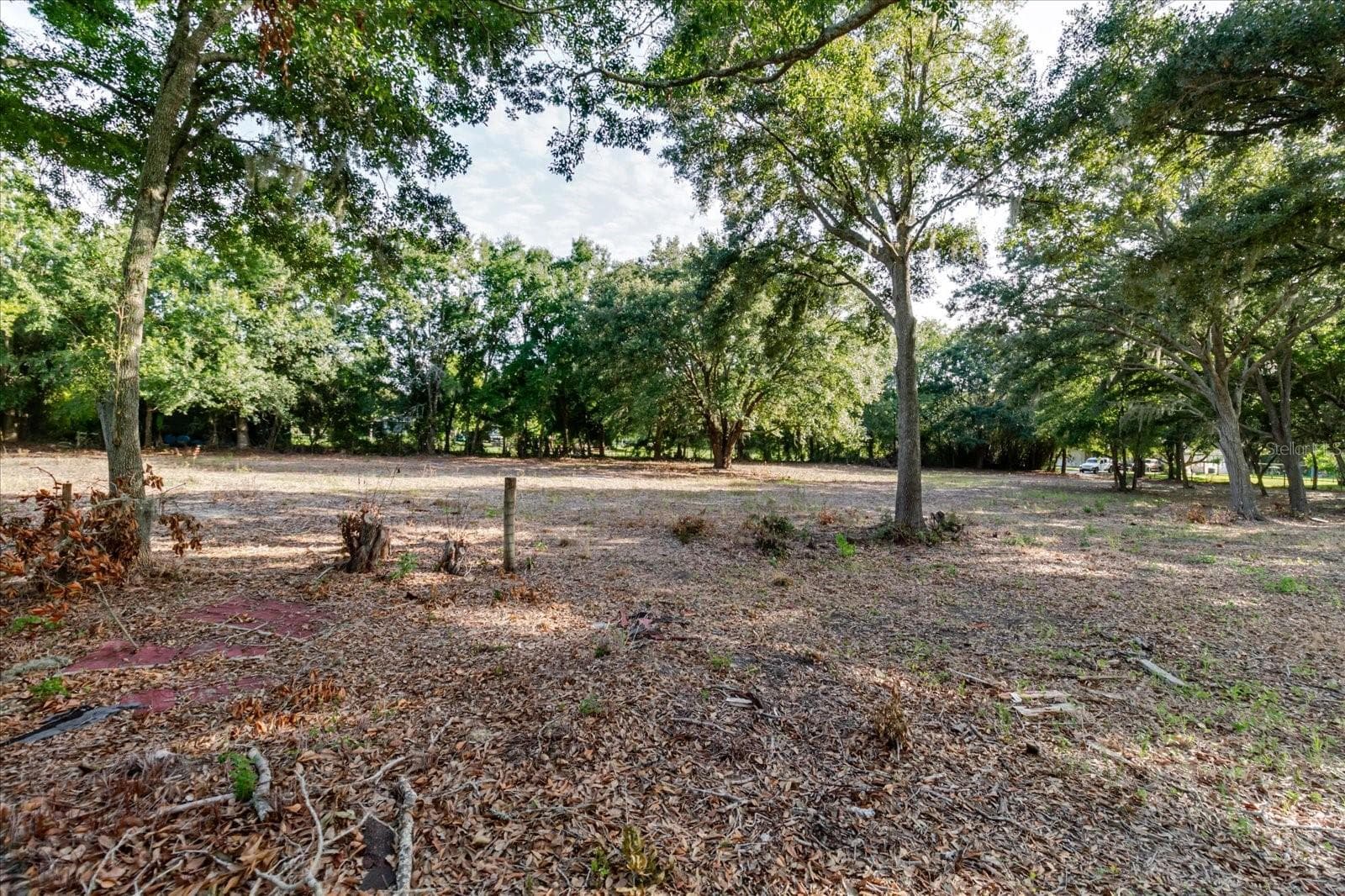 Land at 17380 RIVERSTONE DR, LUTZ, photo 55 of 72