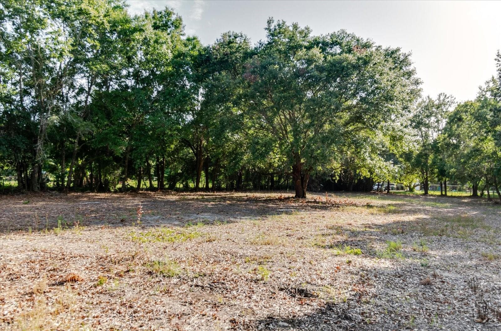 Land at 17380 RIVERSTONE DR, LUTZ, photo 56 of 72