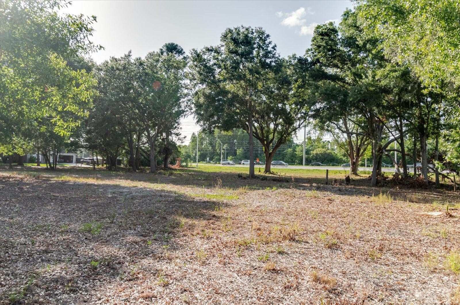 Land at 17380 RIVERSTONE DR, LUTZ, photo 57 of 72