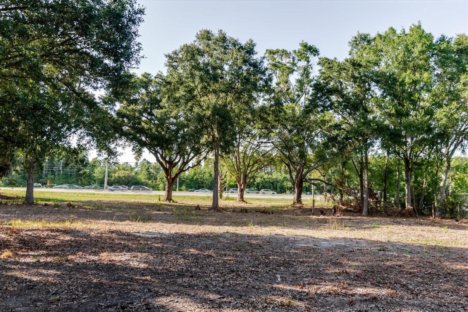 Land at 17380 RIVERSTONE DR, LUTZ, photo 58 of 72