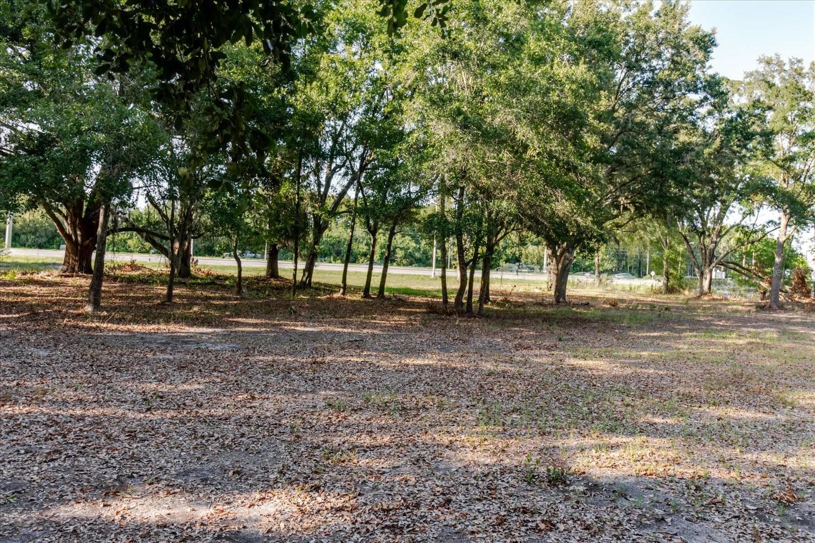 Land at 17380 RIVERSTONE DR, LUTZ, photo 59 of 72