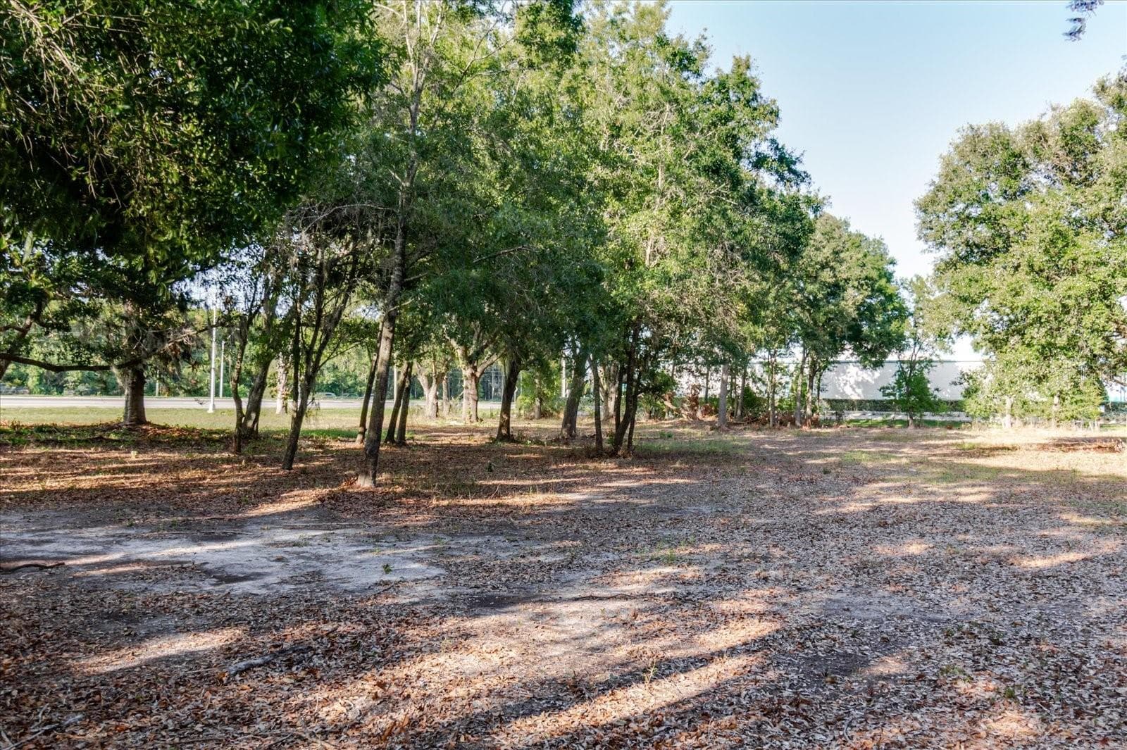 Land at 17380 RIVERSTONE DR, LUTZ, photo 60 of 72