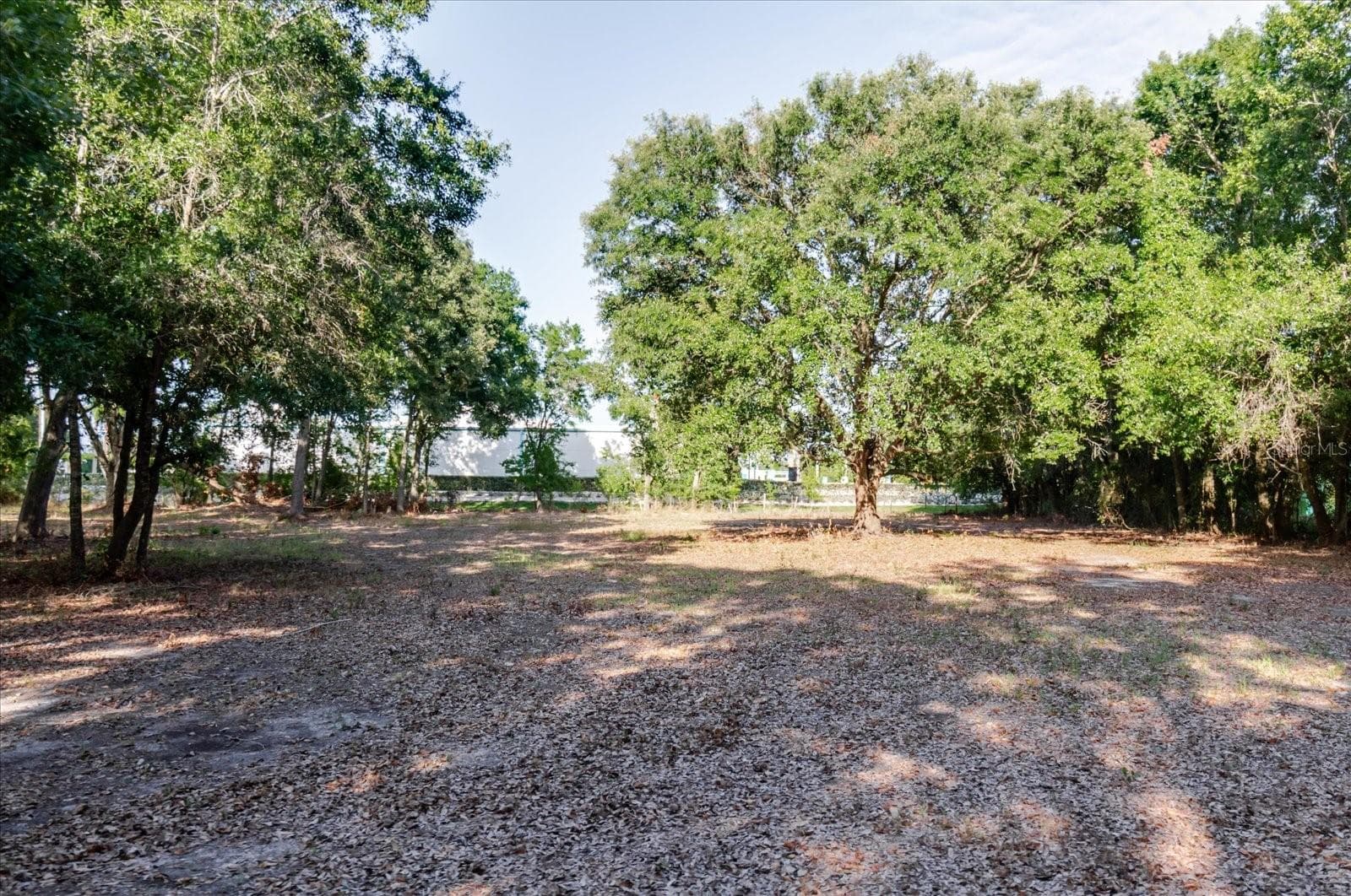 Land at 17380 RIVERSTONE DR, LUTZ, photo 61 of 72