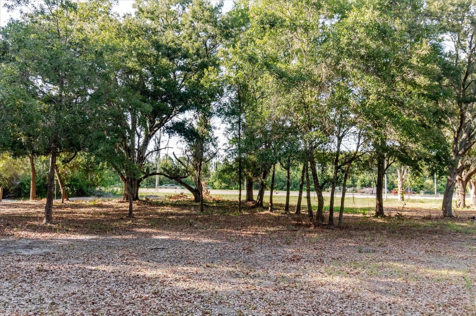 Land at 17380 RIVERSTONE DR, LUTZ, photo 62 of 72