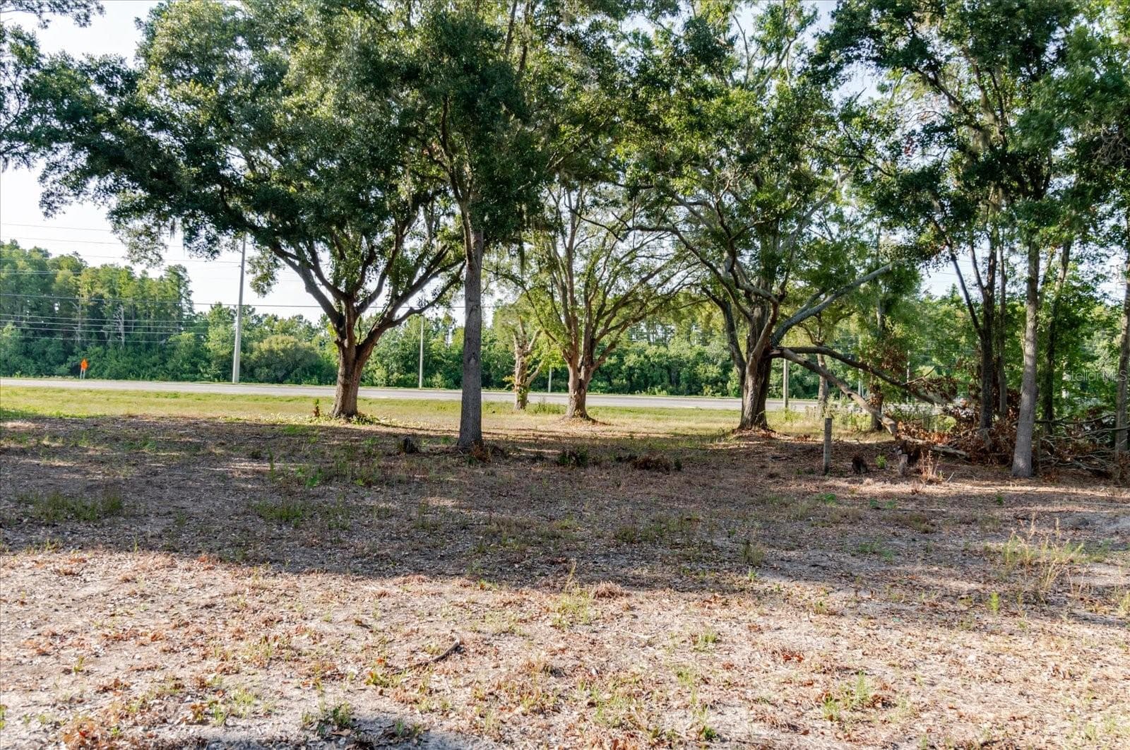 Land at 17380 RIVERSTONE DR, LUTZ, photo 63 of 72