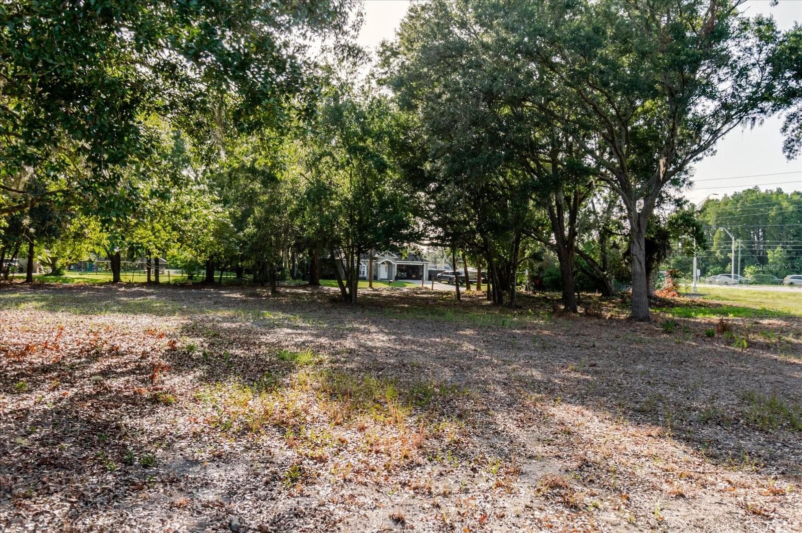 Land at 17380 RIVERSTONE DR, LUTZ, photo 64 of 72