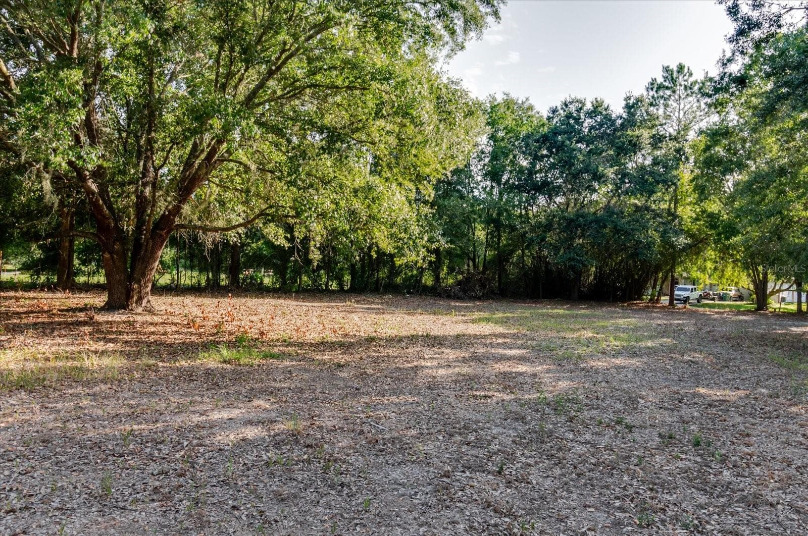 Land at 17380 RIVERSTONE DR, LUTZ, photo 66 of 72