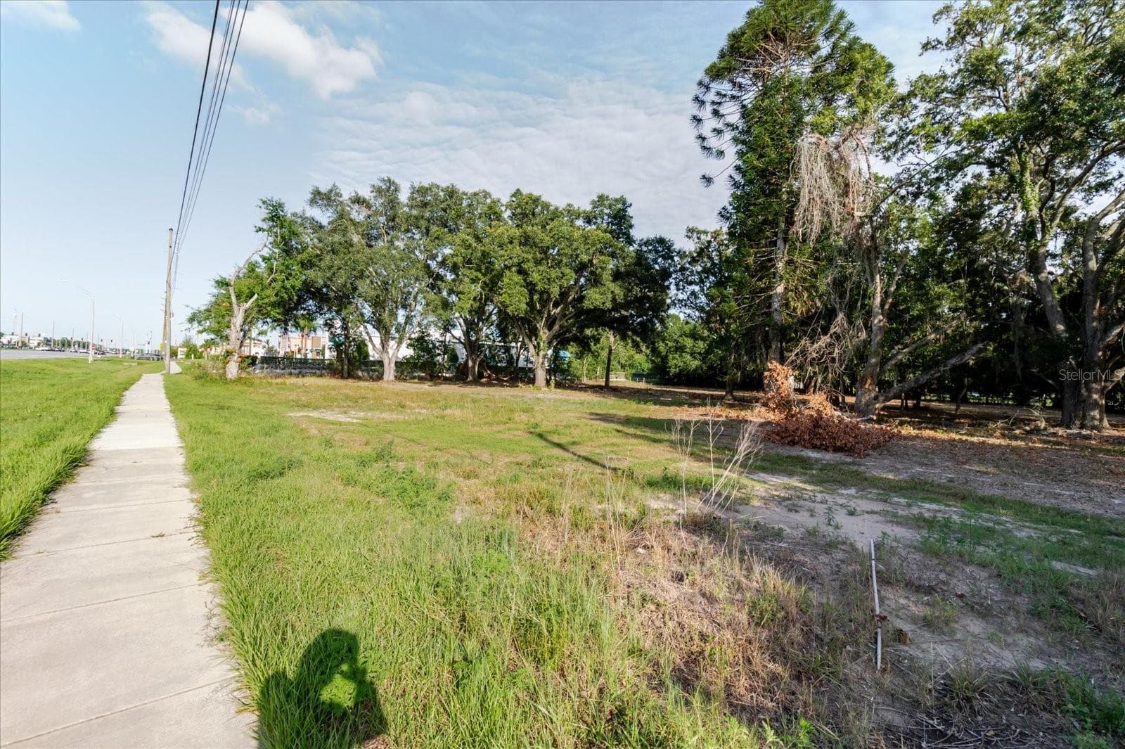 Land at 17380 RIVERSTONE DR, LUTZ, photo 70 of 72