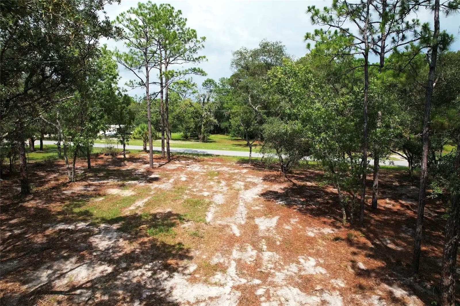 Land at 4546 S EVERGREEN AVE, HOMOSASSA, photo 2 of 10