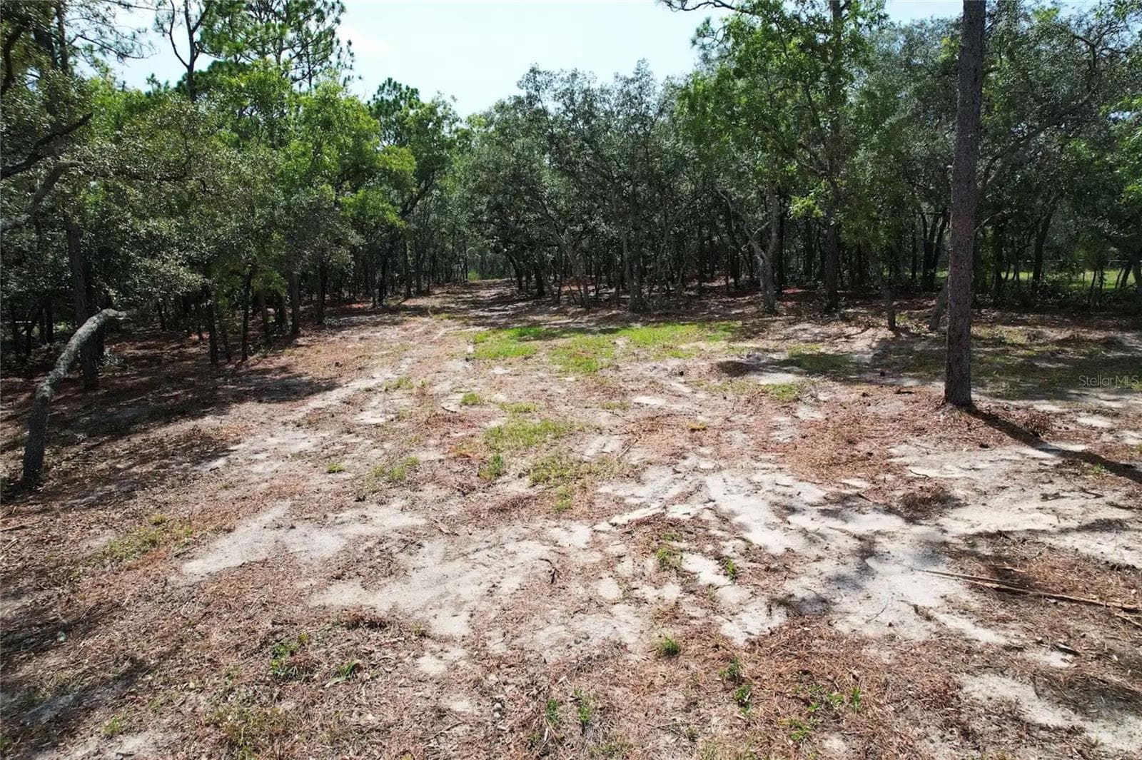 Land at 4546 S EVERGREEN AVE, HOMOSASSA, photo 3 of 10