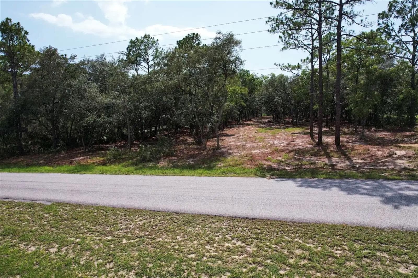 Land at 4546 S EVERGREEN AVE, HOMOSASSA, photo 4 of 10