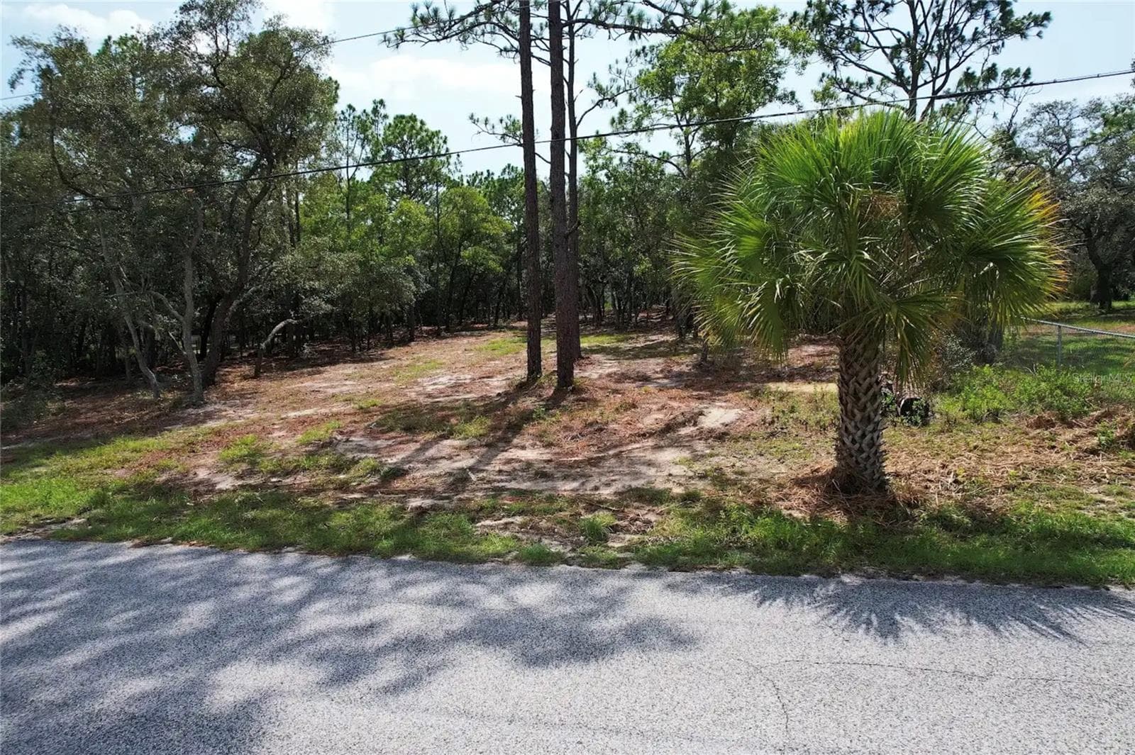 Land at 4546 S EVERGREEN AVE, HOMOSASSA, photo 5 of 10