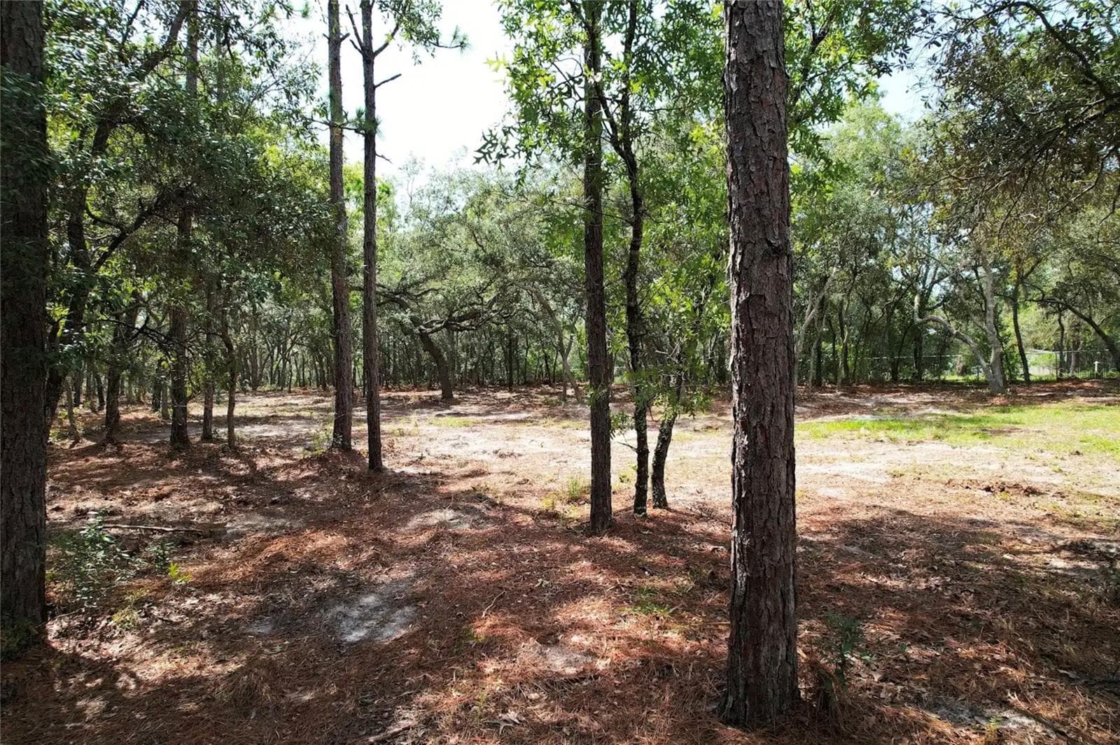 Land at 4546 S EVERGREEN AVE, HOMOSASSA, photo 6 of 10