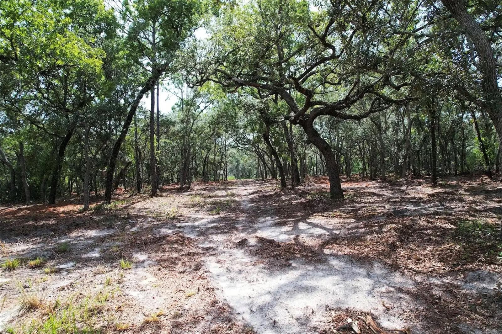Land at 4546 S EVERGREEN AVE, HOMOSASSA, photo 7 of 10