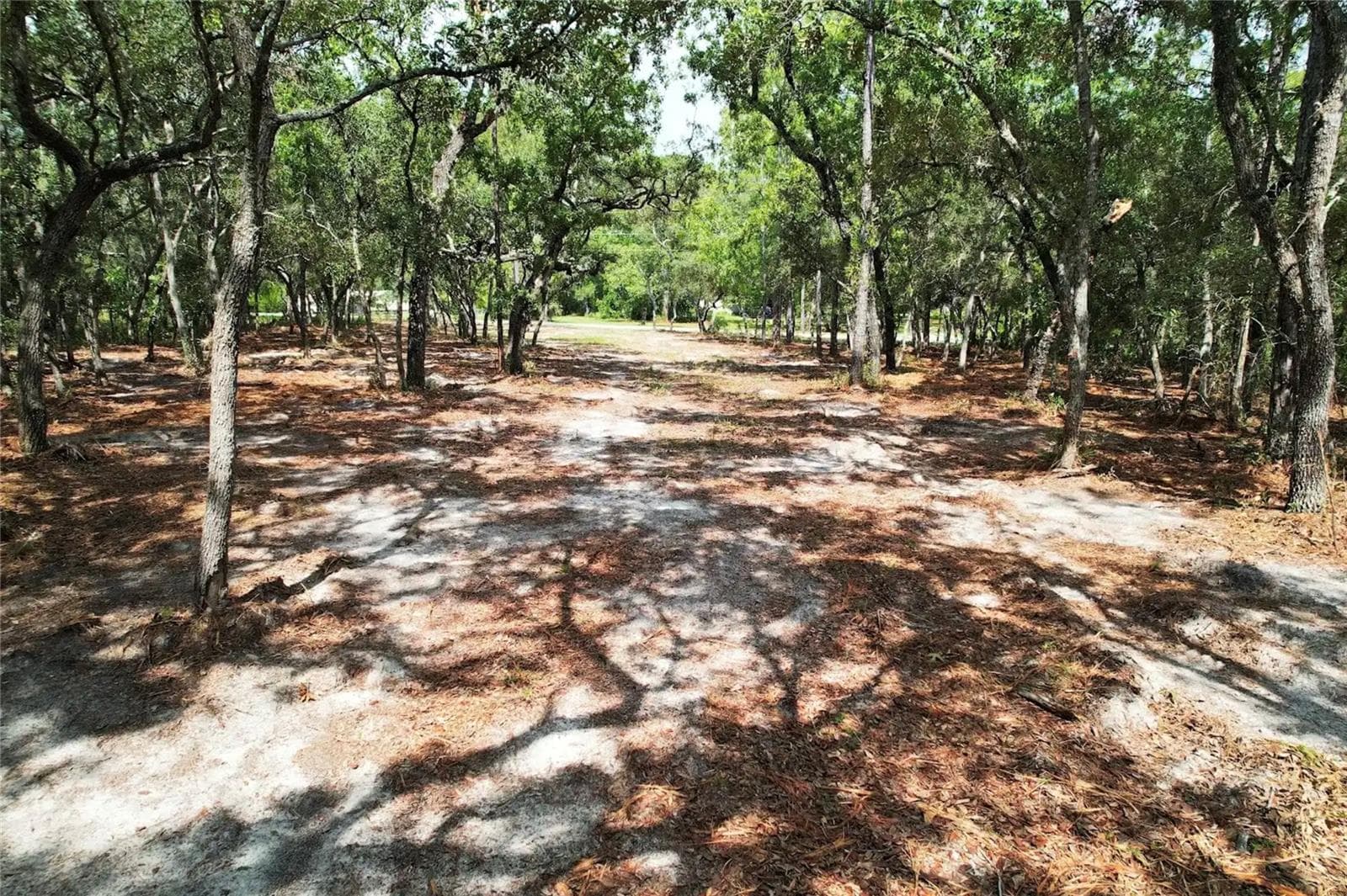 Land at 4546 S EVERGREEN AVE, HOMOSASSA, photo 9 of 10