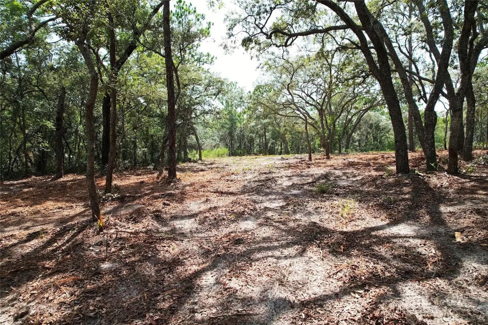 Land at 4546 S EVERGREEN AVE, HOMOSASSA, photo 10 of 10