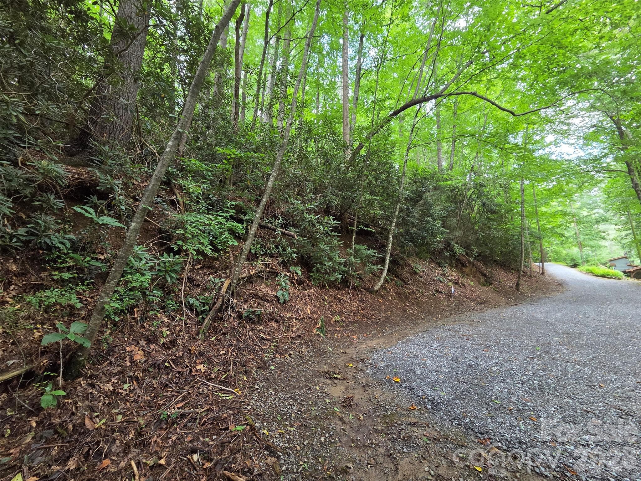 Lot at Waynesville, photo 2 of 17