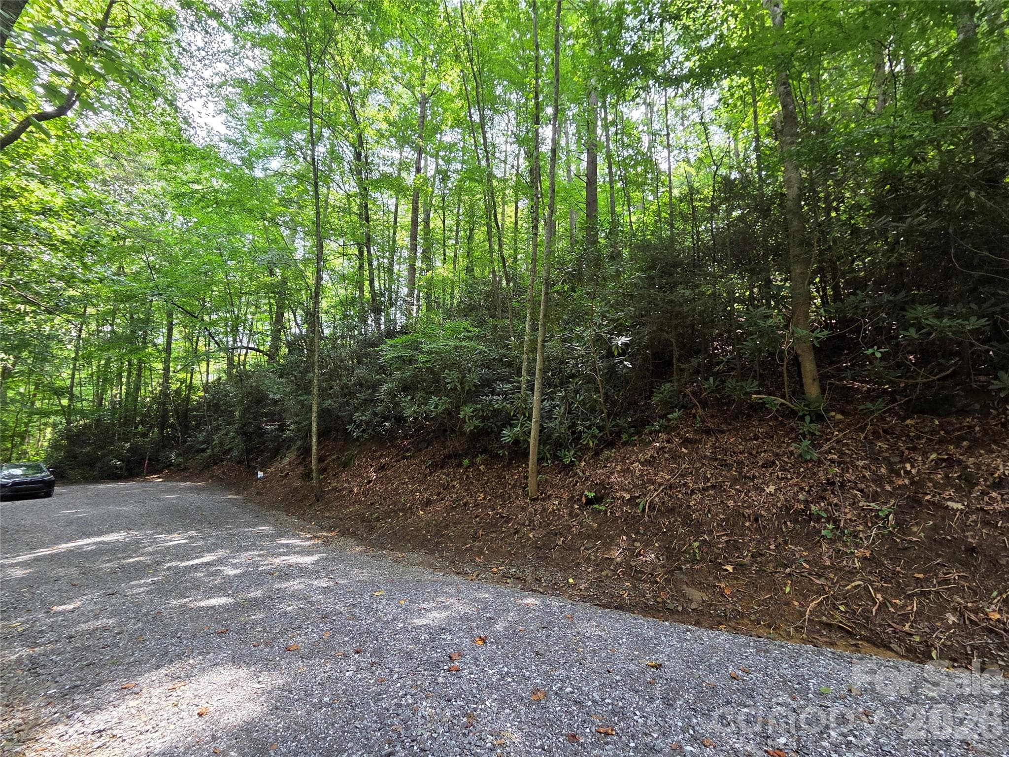 Lot at Waynesville, photo 4 of 17