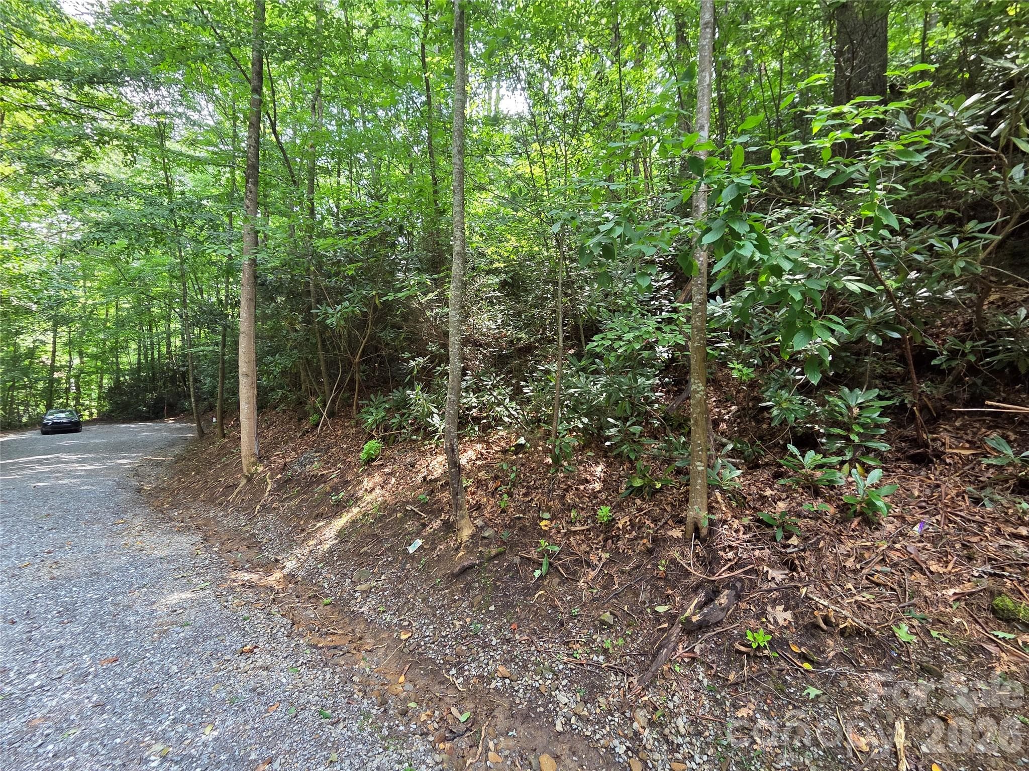 Lot at Waynesville, photo 5 of 17