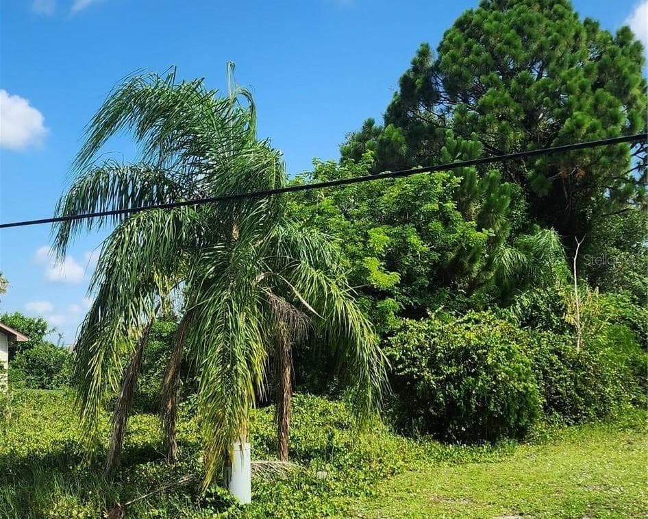 Land at 26532 ANGELICA RD, PUNTA GORDA, photo 4 of 16